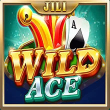 wild ace casino
